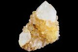 Sunshine Cactus Quartz Crystal Cluster - South Africa #80203-1